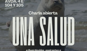 ZOONOSIS REALIZAR UNA CHARLA ABIERTA PARA GUARDAVIDAS, ASPIRANTES Y ESTUDIANTES